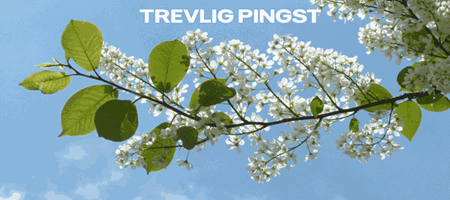 article_img