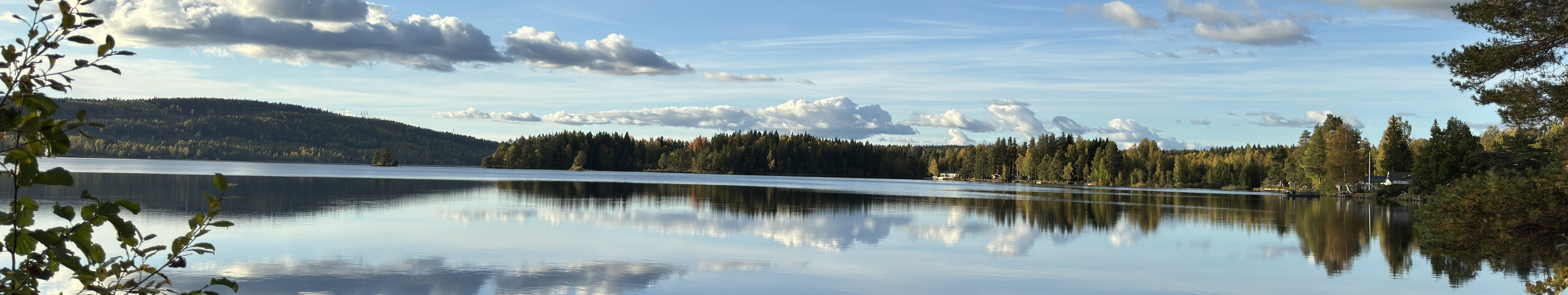 Väsman_vatten och skog.png