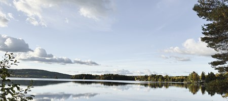 article_img