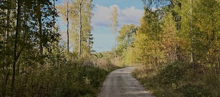 article_img