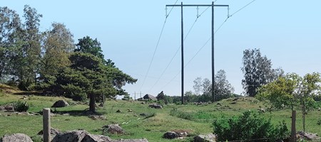 article_img