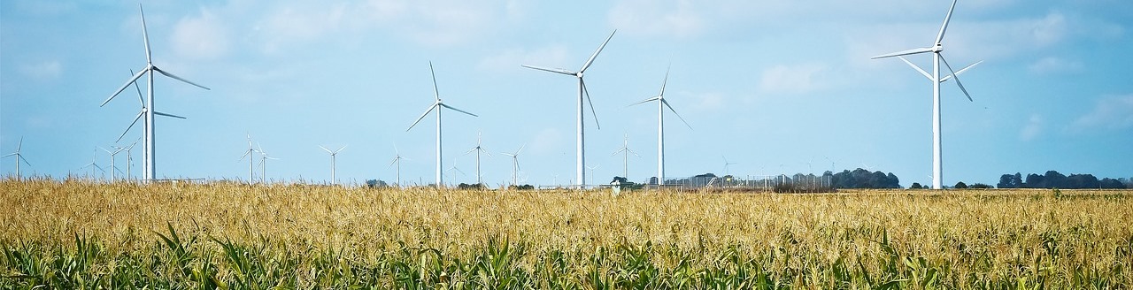Vindkraftsfält_small.jpg
